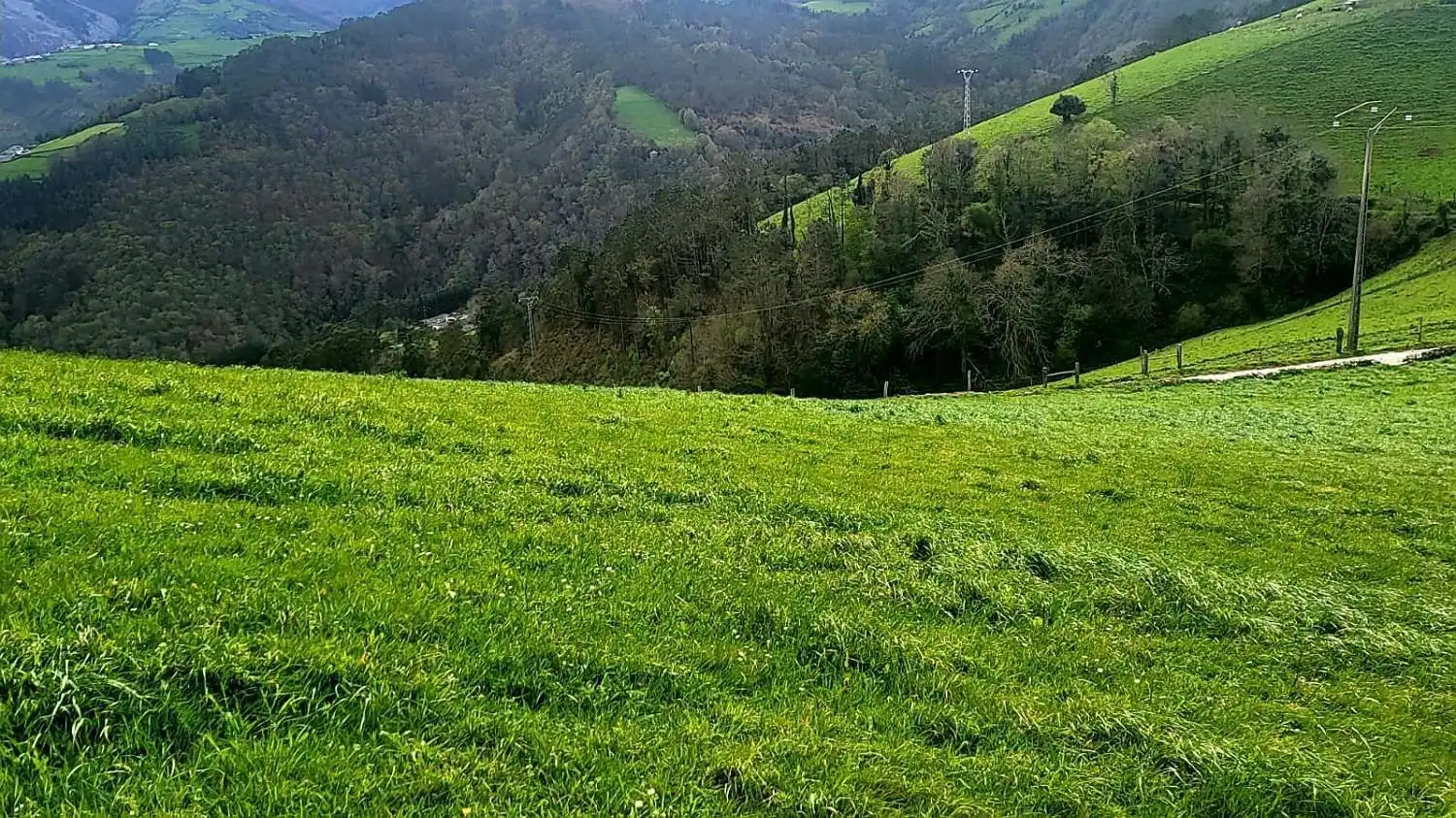 Residential land for sale in El Vallín, imagen 19