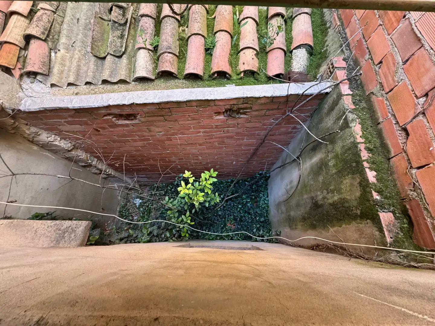 Maison jumelée à vendre à Calle Carmen 5, imagen 4
