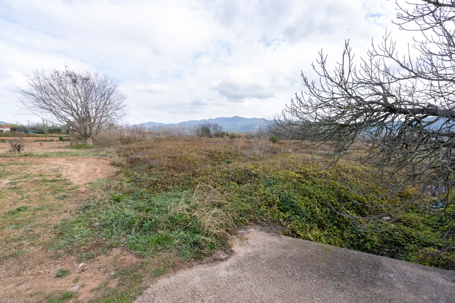 Rustikales Grundstück zum Verkauf in Carretera d’Alcanar 3, imagen 4