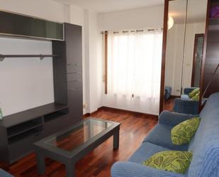 Sala d'estar de Apartament de lloguer en A Coruña Capital 