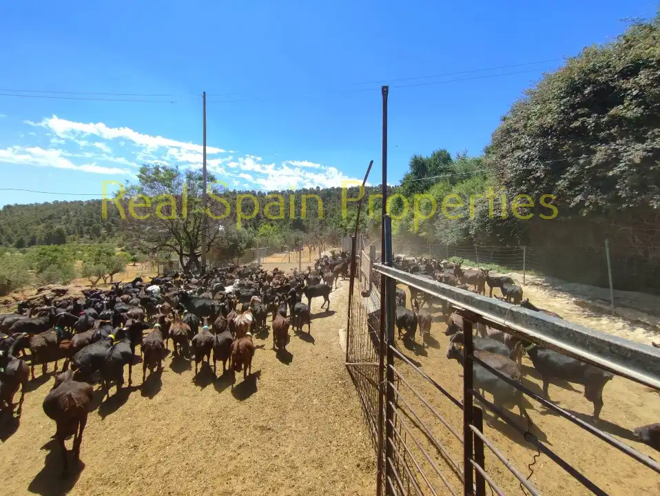 Casa rústica amb terrassa en venda a Vélez-Blanco, imagen 38