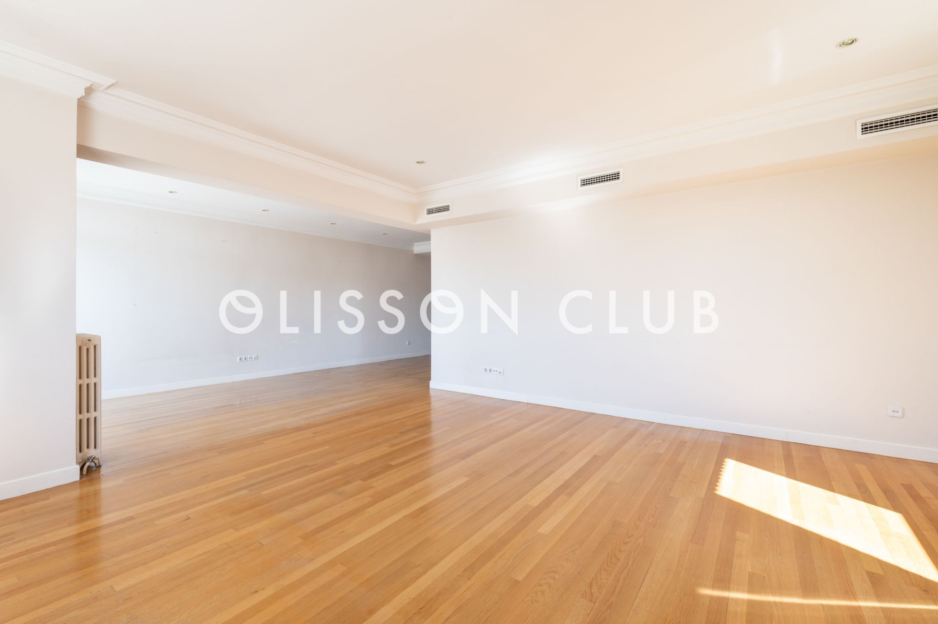 Living room of Flat for sale in  Madrid Capital  with Air Conditioner, Heating and Terrace