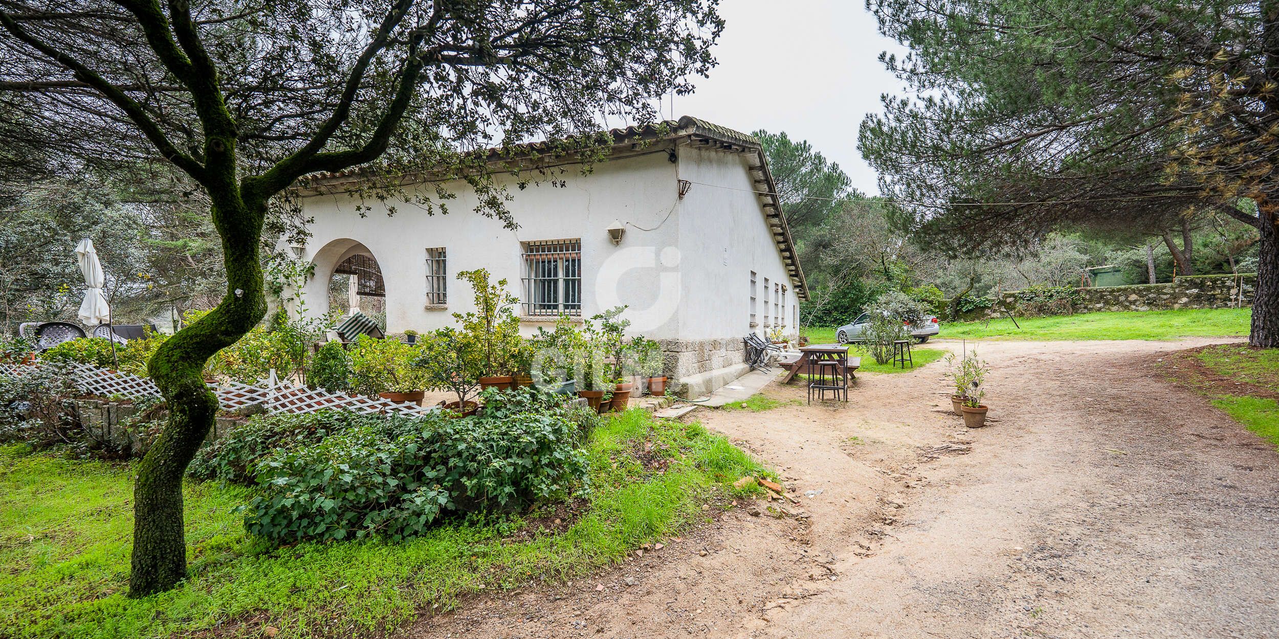 Jardí de Casa o xalet en venda en Galapagar