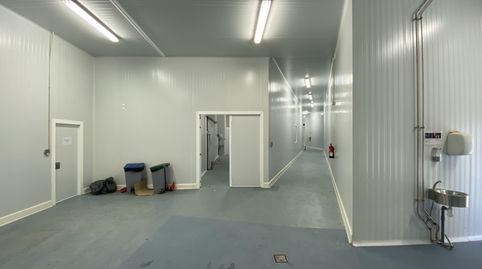 Nave industrial agroalimentaria en venta - Tudela, imatge 5