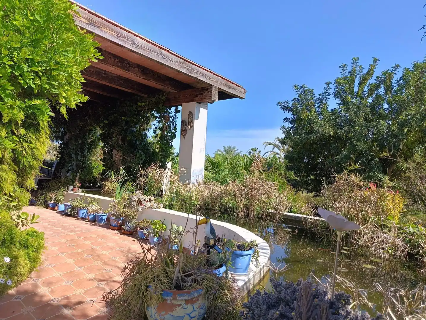 Jardí de Finca rústica en venda en Elche / Elx amb Aire condicionat, Calefacció i Jardí privat