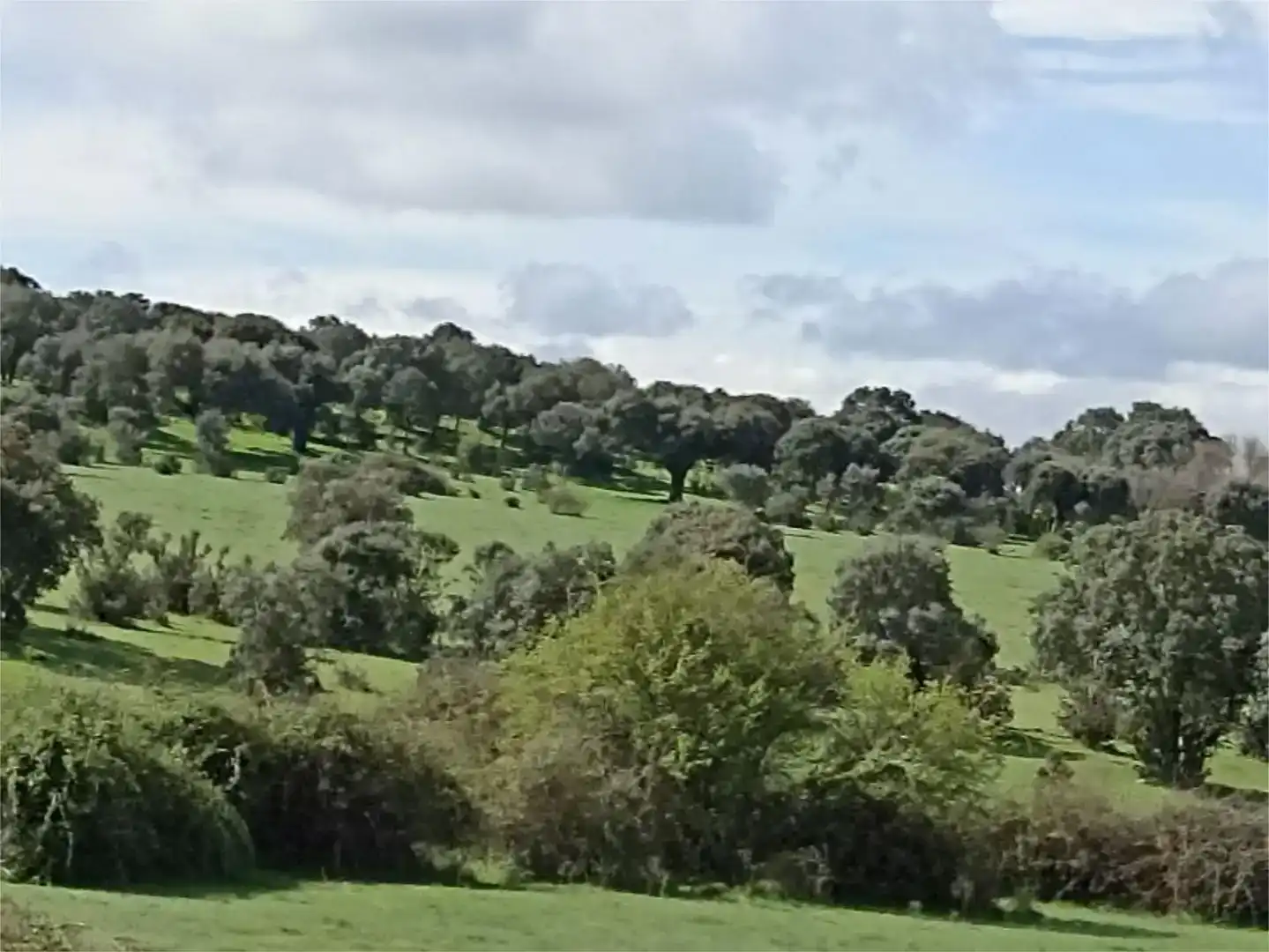 Planta baja en venta en Membribe de la Sierra con Amueblado
