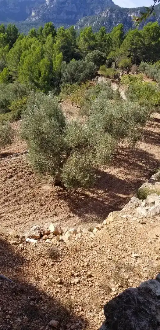 Finca rústica en venda en Amposta