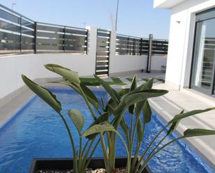 Swimming pool of House or chalet for sale in Torre-Pacheco  with Swimming Pool