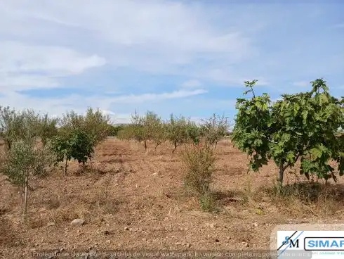 Terreno en venta en Ajofrín