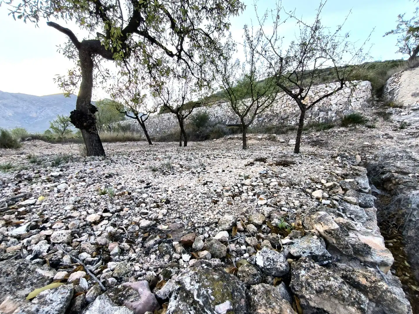 Finca rústica en venda en Algueña amb Calefacció i Terrassa