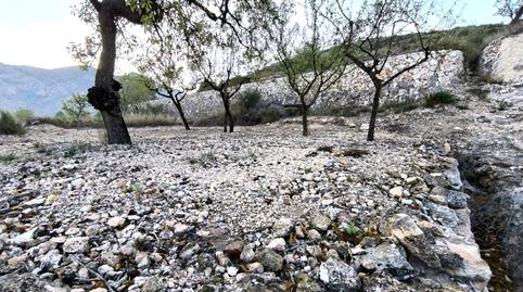 Photo 4 of Country house for sale in Algueña, Alicante