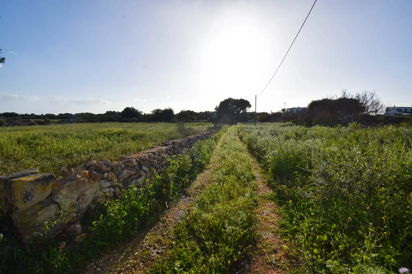 Industriegrundstück zum Verkauf in Ciutadella