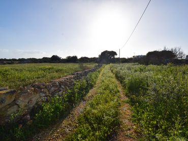 Terreny industrial en venda a Ciutadella