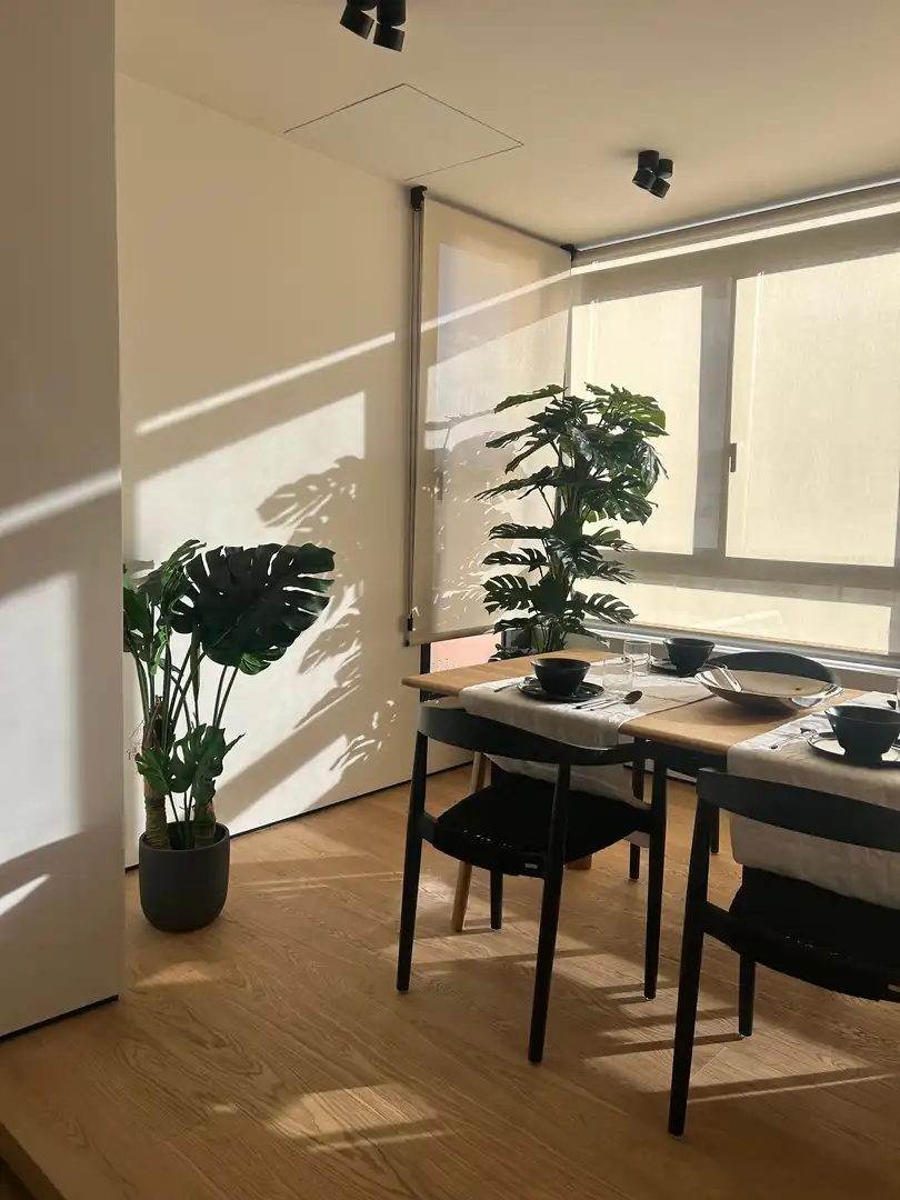 Appartamento con terrazza in vendita a Calle MUNTANER, imagen 92
