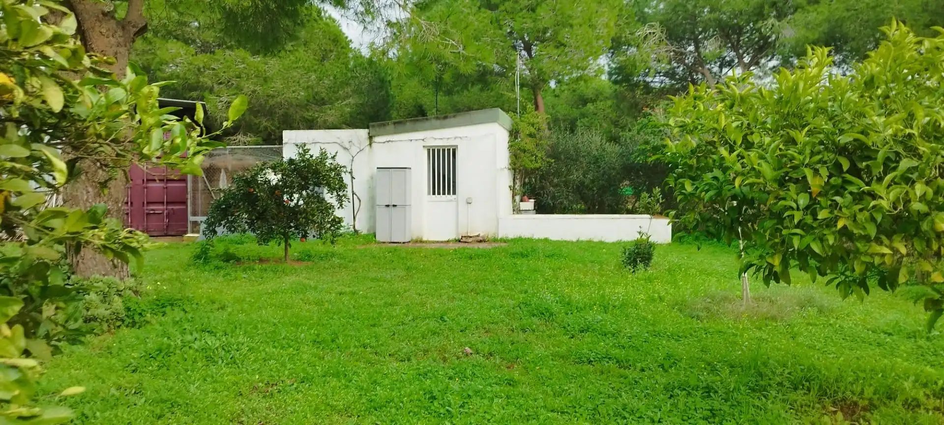 Jardín de Casa o chalet en venta en Puerto Real
