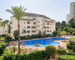 Apartament de lloguer a Romana Playa