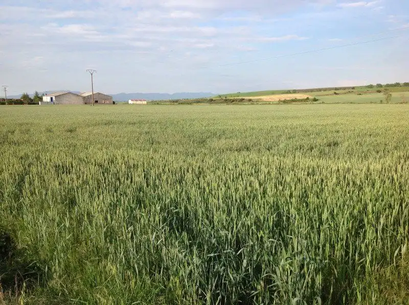 Lands and plots for sale in Santo Domingo de la Calzada, imagen 7