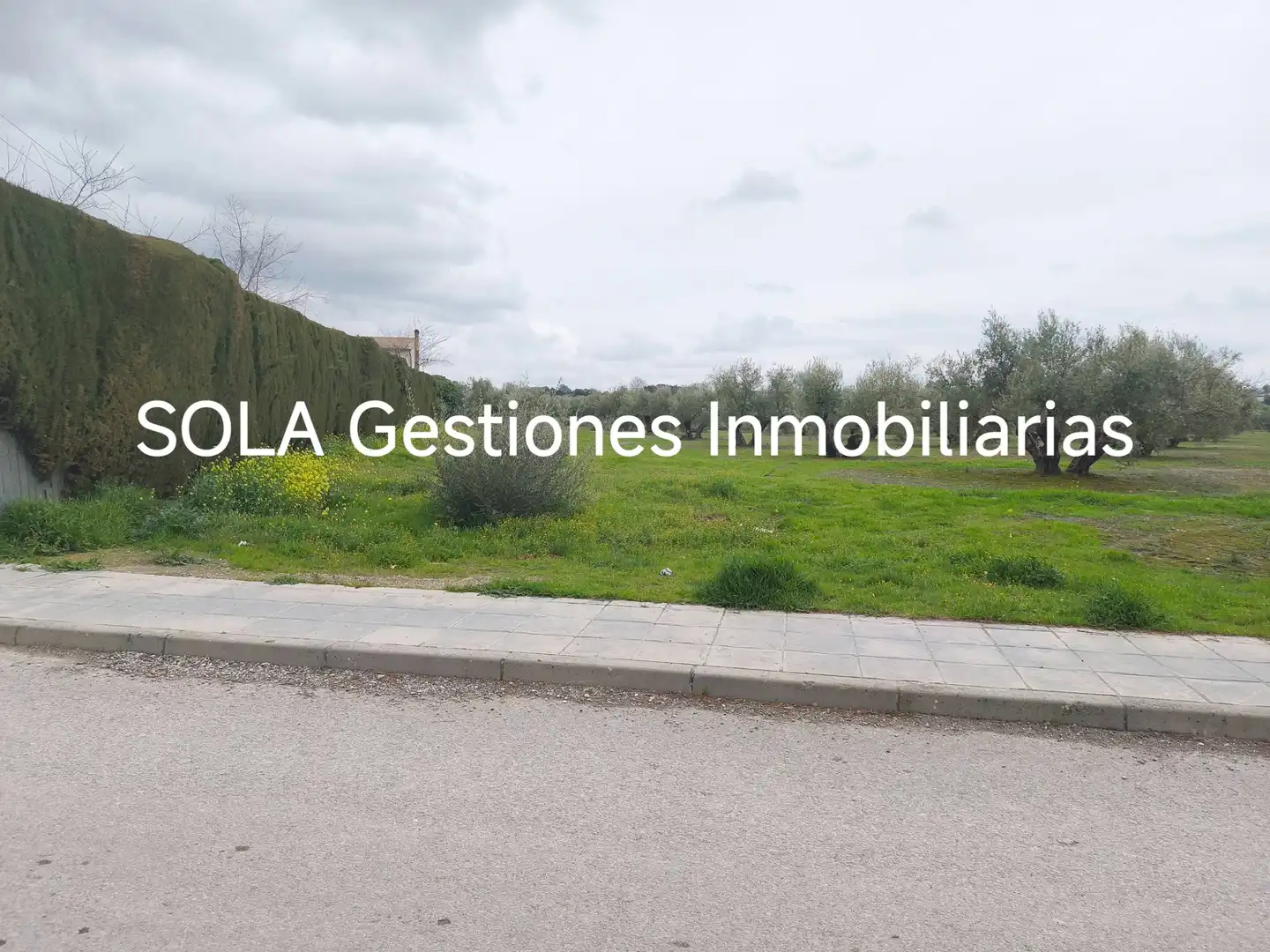 Terreni e lotti in vendita a Úbeda, imagen 3
