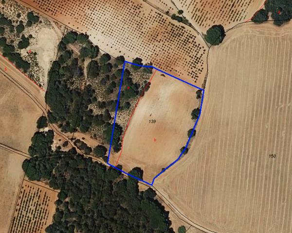 Terreno en Venta en Calle Matías Cuesta, 2 en Villagarcía del Llano