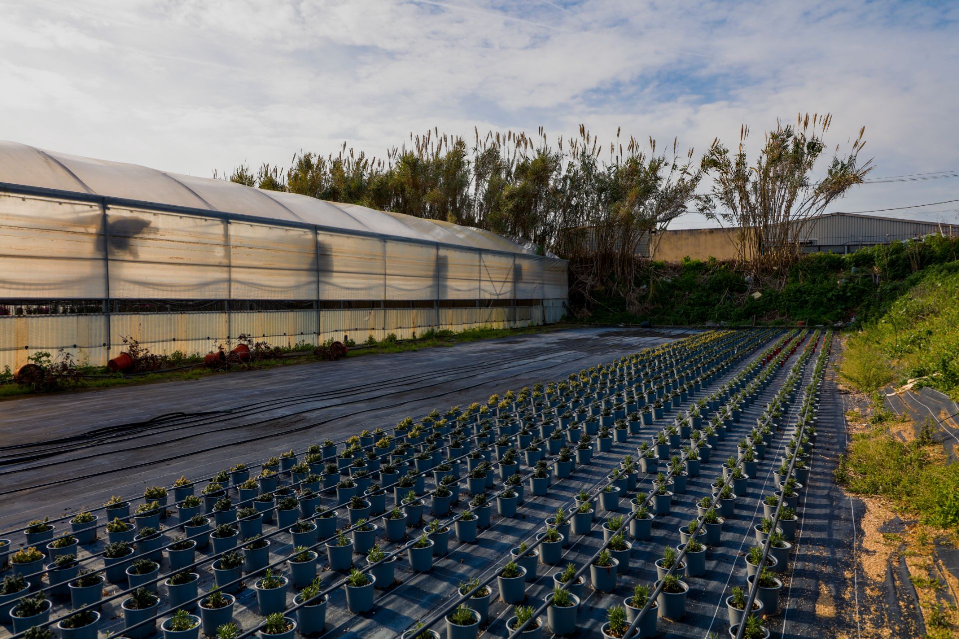 Außenansicht von Grundstücke zum verkauf in Vilassar de Mar