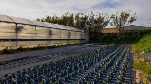 Foto 3 von Grundstücke zum Verkauf in Poligono Industrial Els Garrofers, Zona Industrial i Agrícola, Vilassar de Mar