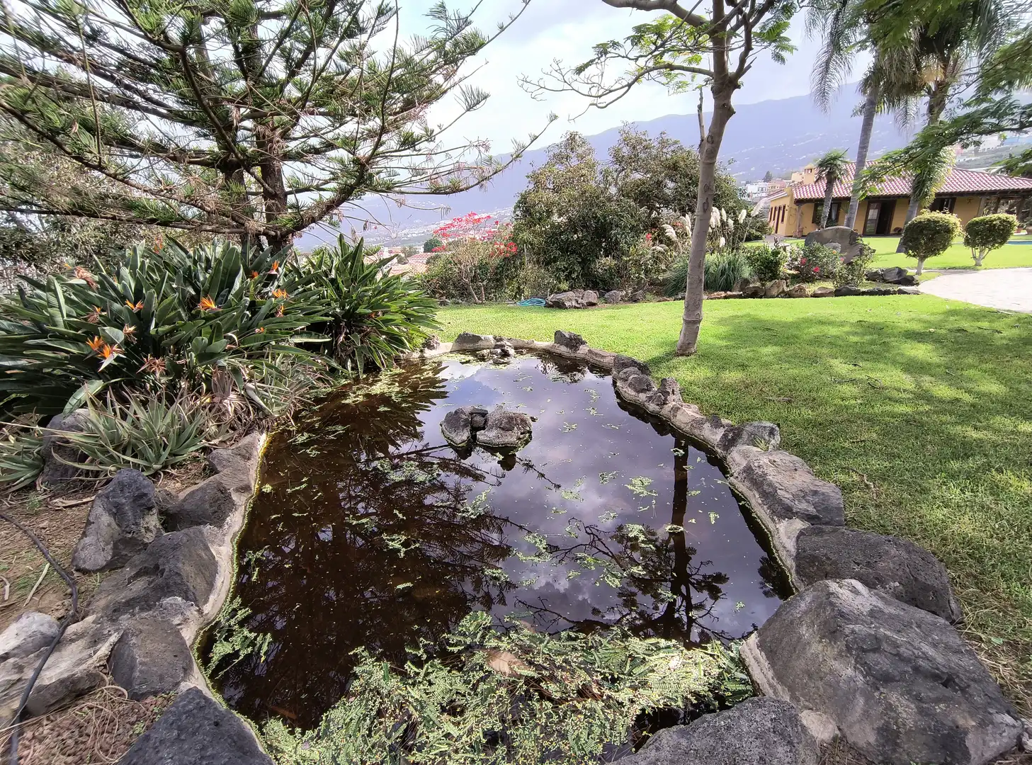Jardín de Casa o chalet en venta en La Orotava con Jardín privado, Parquet y Terraza