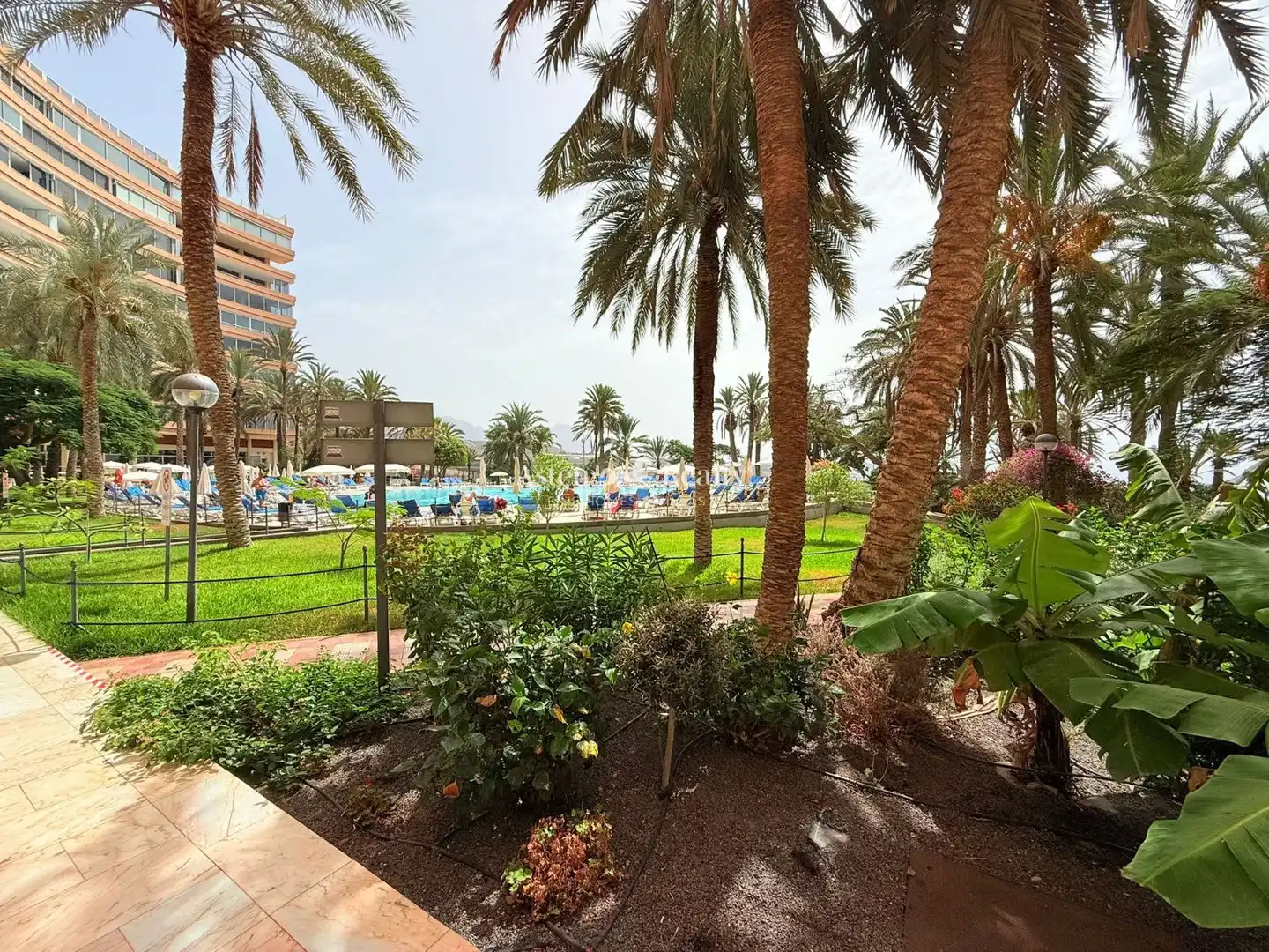 Jardí de Àtic en venda en Adeje amb Aire condicionat, Terrassa i Piscina