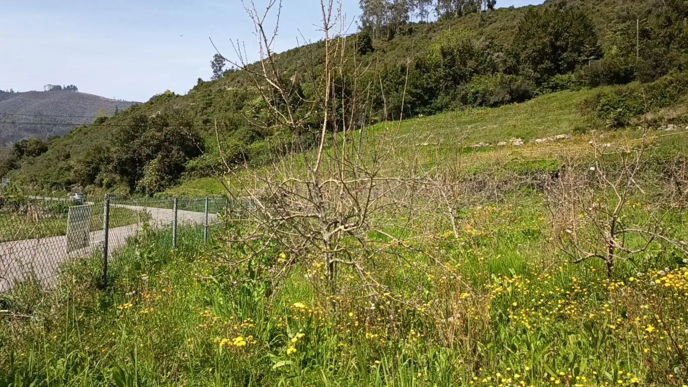 Residential land for sale in CD-1, imagen 9