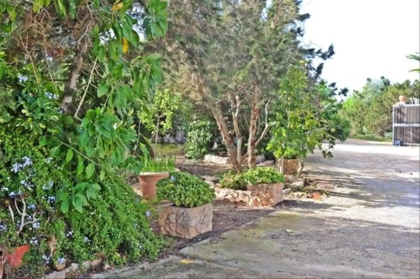 Casa in vendita a Carrer des Pla del Rei 16, imagen 5