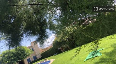 Photo 2 of Study to share in S'Estanyol, Illes Balears