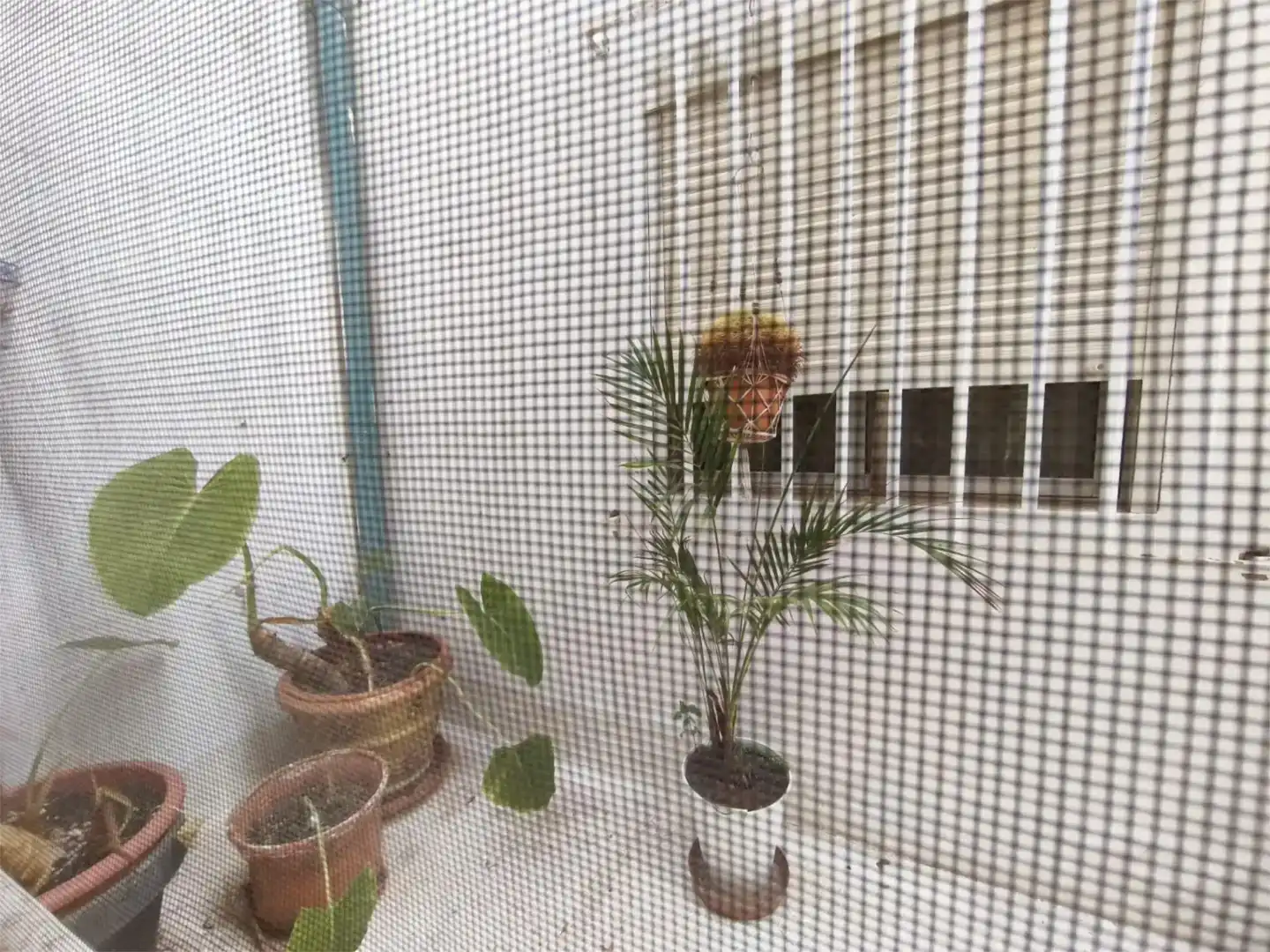 Terraza de Piso en venta en Arrecife