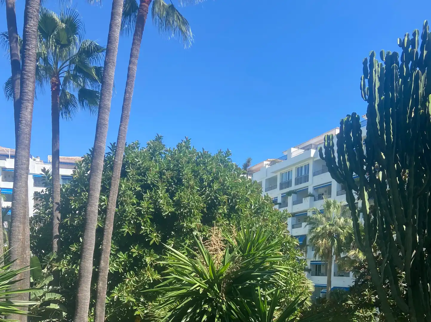 Vista exterior de Apartament de lloguer en Marbella amb Aire condicionat, Terrassa i Piscina