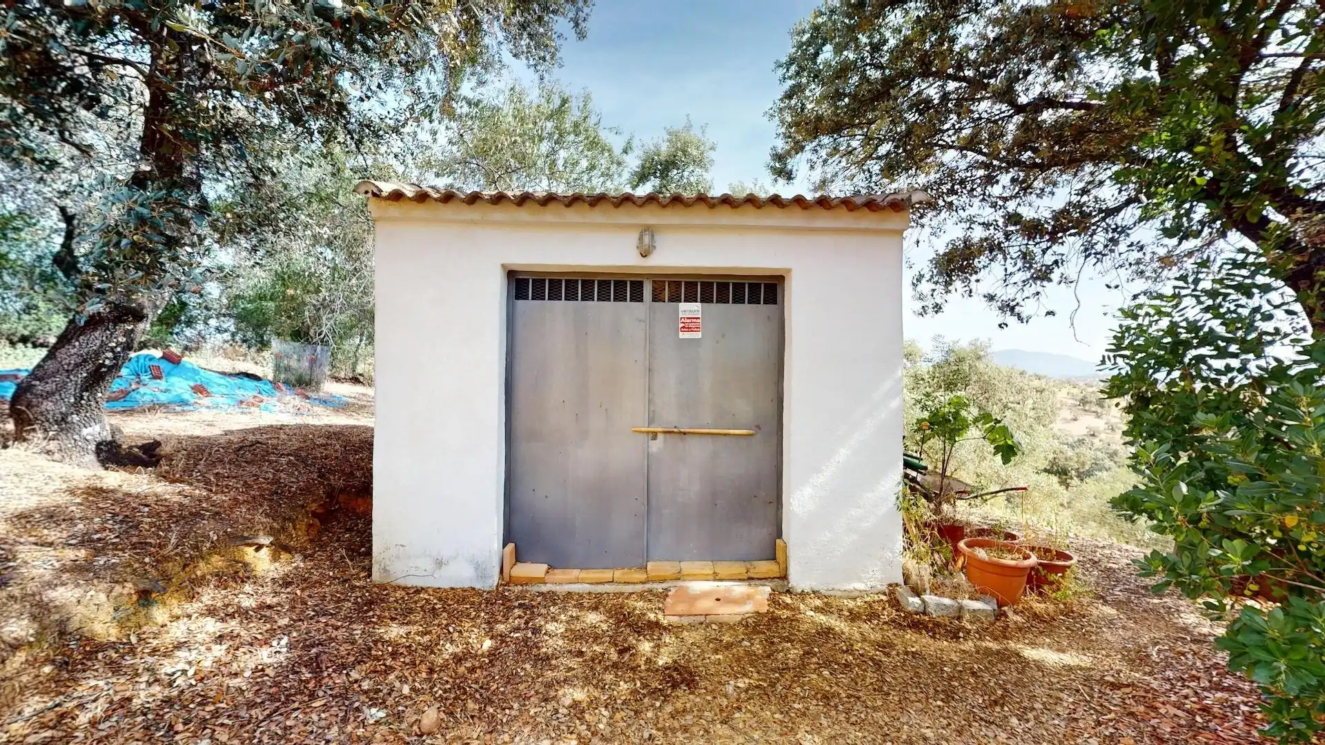 Exterior view of Houses for sale in Montoro  with Private garden and Terrace