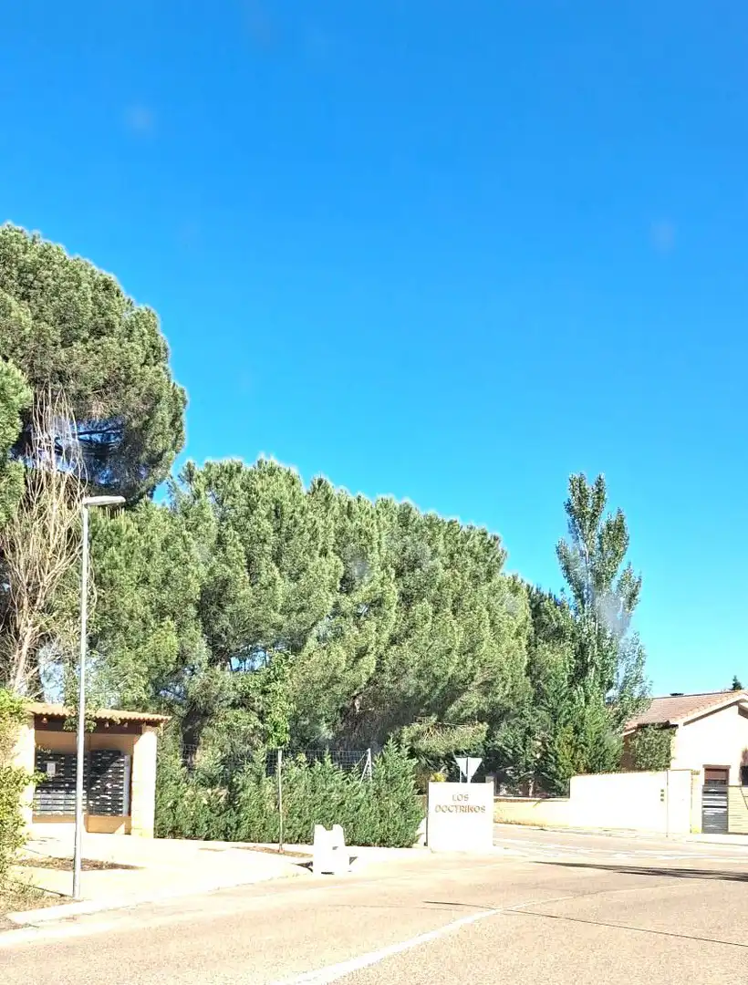 Vista exterior de Casa o xalet en venda en Villanueva de Duero amb Calefacció, Jardí privat i Traster