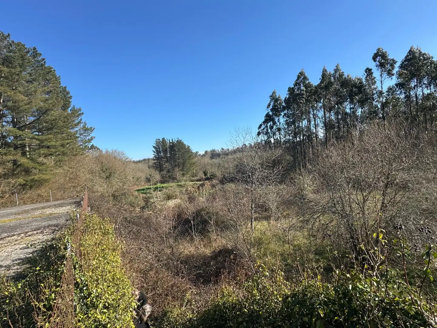 Haus oder Chalet zum Verkauf in Lugo mit Privatgarten und Terrasse