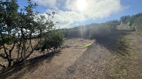 Foto 4 de Finca rústica en venda a Camino el Cascajo, 1, La Perdoma - San Antonio - Benijos, La Orotava