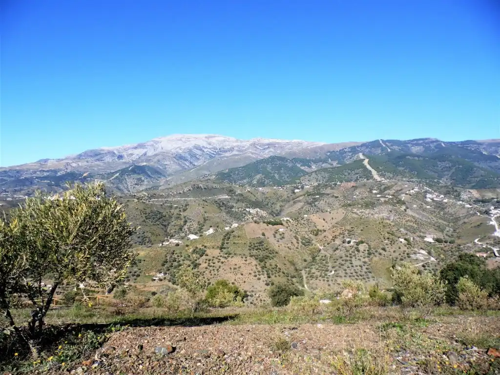 Vista exterior de Finca rústica en venda en Canillas de Albaida