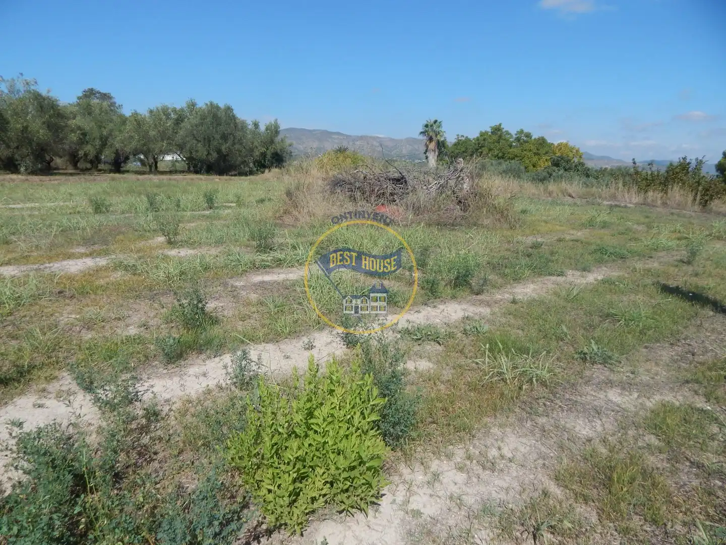 Terrain rustique à vendre à Sant Josep - Zona Hospital, imagen 8