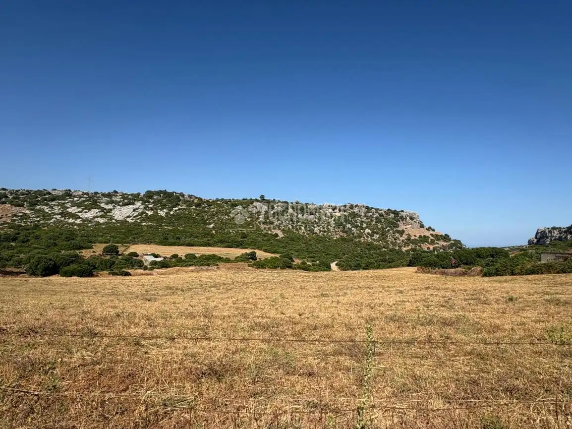 Terreny rústic en venda a Casares pueblo, imagen 11