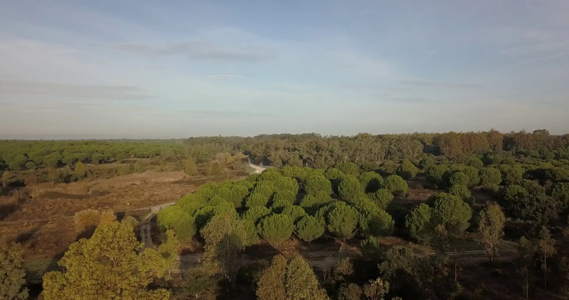 Finca rústica en venda en Almonte