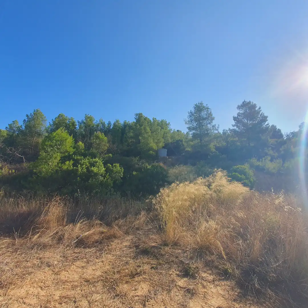 Finca rústica en venda en Caseres amb Moblat