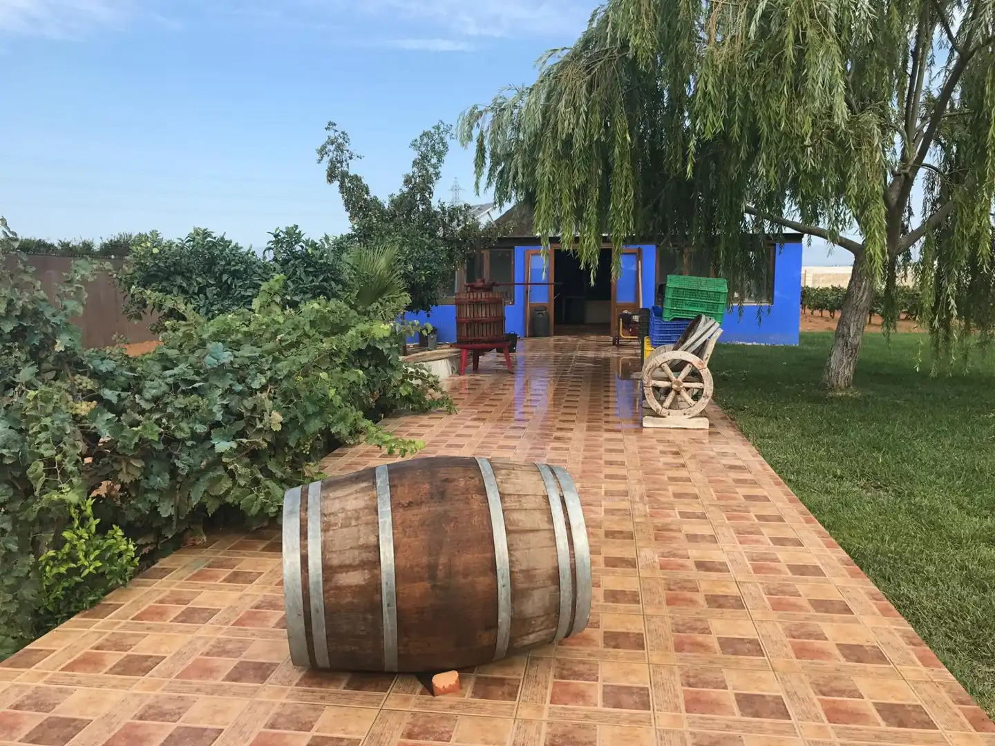 Terrassa de Terreny en venda en Chipiona Norte