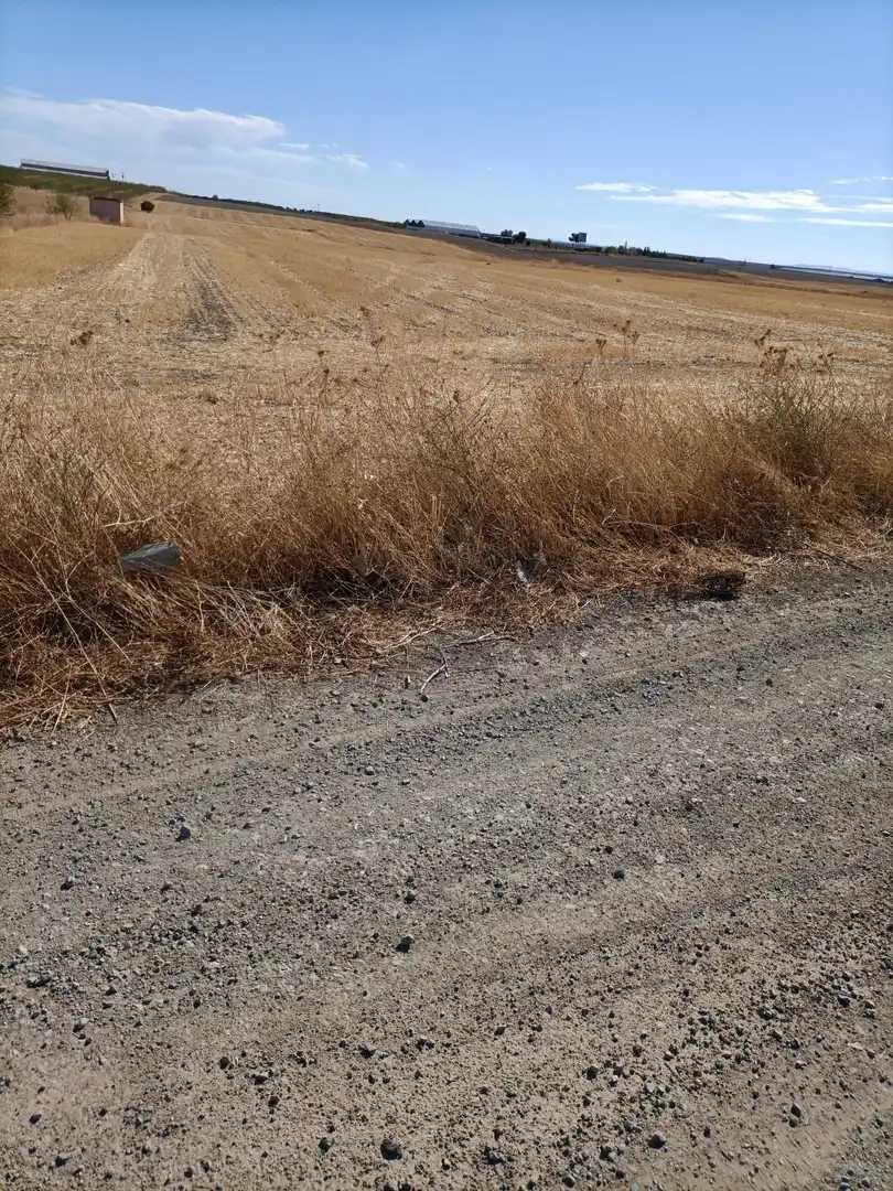 Rural land for sale in Almonacid de Toledo