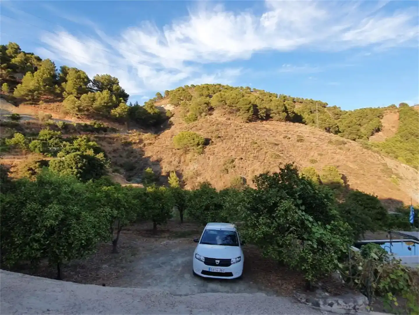 Finca rústica en venda en Alozaina