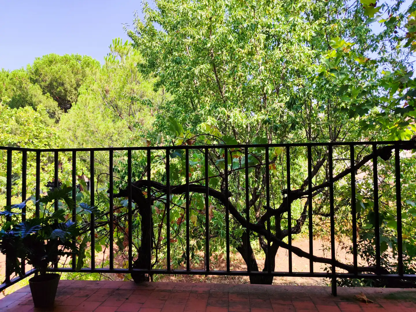 Villa mit Garten zum Verkauf in Calle Álamo 3, imagen 35