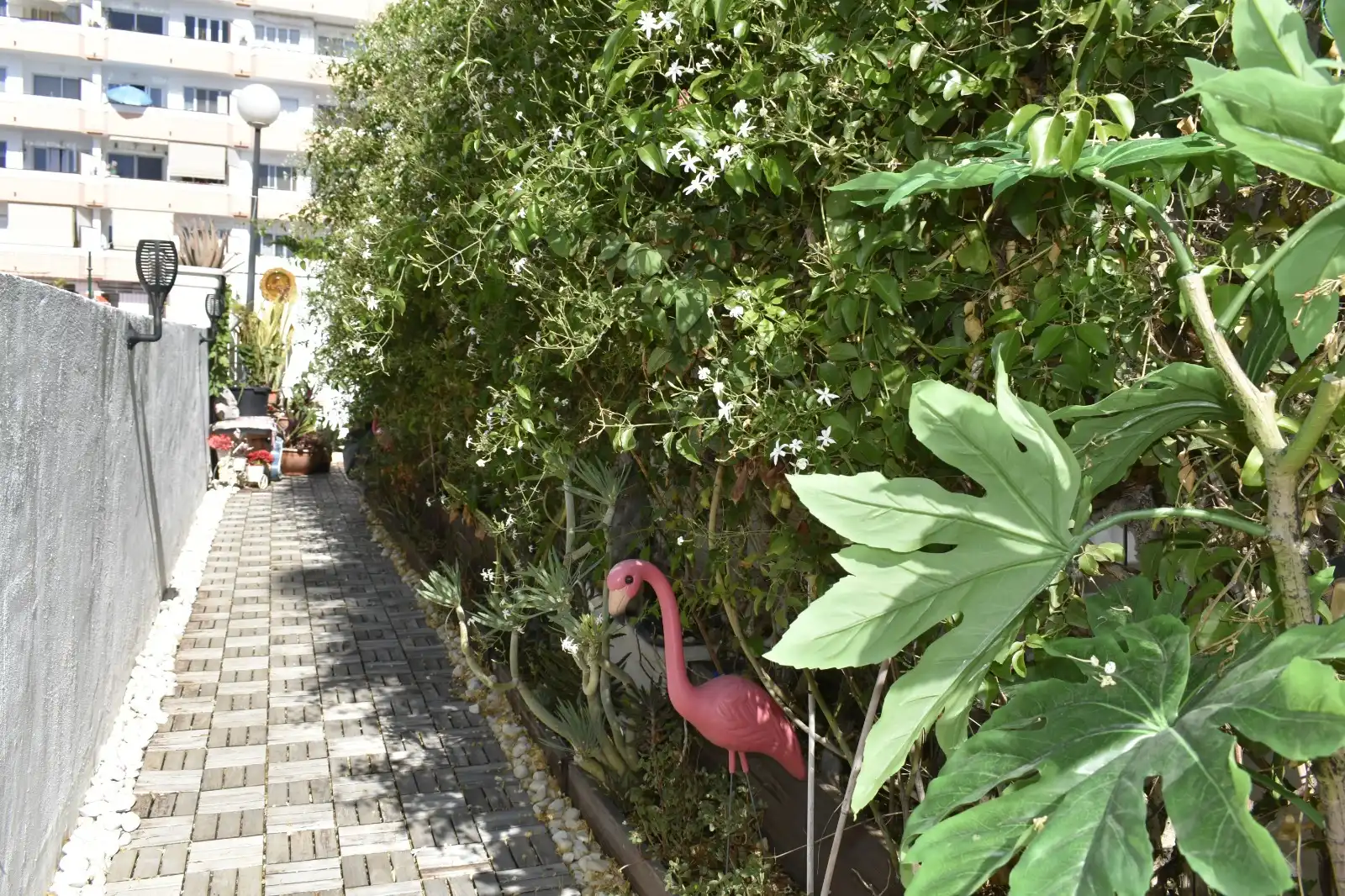 Bungalow avec piscine à vendre à Avenida de Menceyes 5, imagen 33