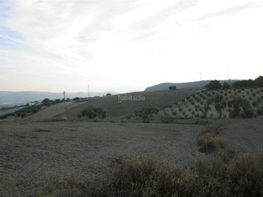 Terreno rustico in vendita a Calle Vicente Escriba 1A