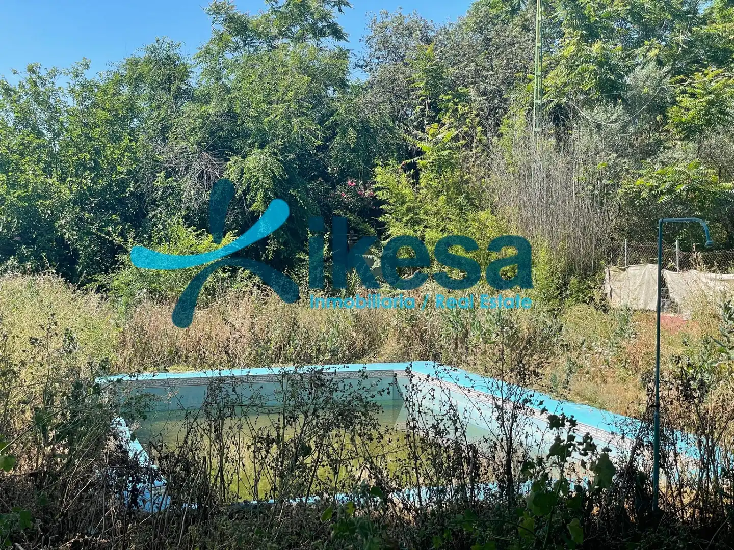 Vista exterior de Finca rústica en venta en La Puebla del Río con Jardín privado y Piscina
