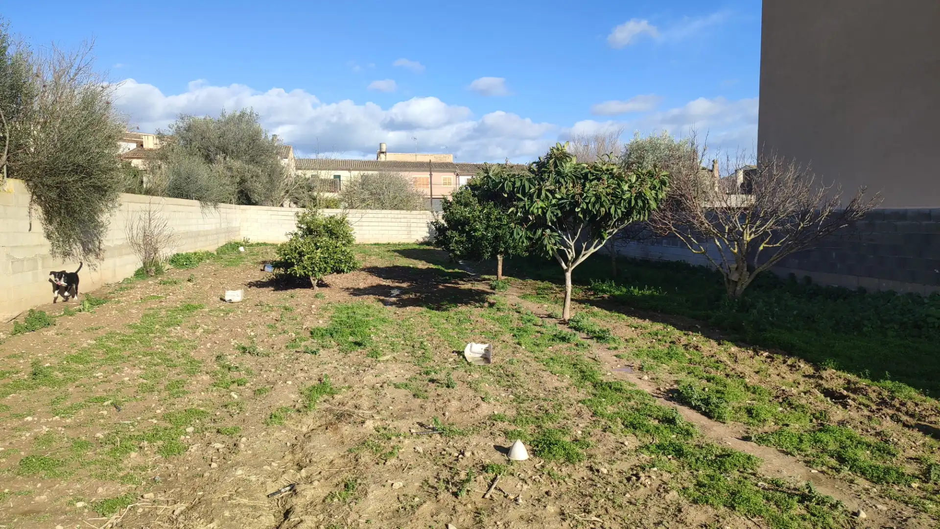 Wohnbaugrundstück zum Verkauf in Carrer de l'Ermità Agustí 7, imagen 2