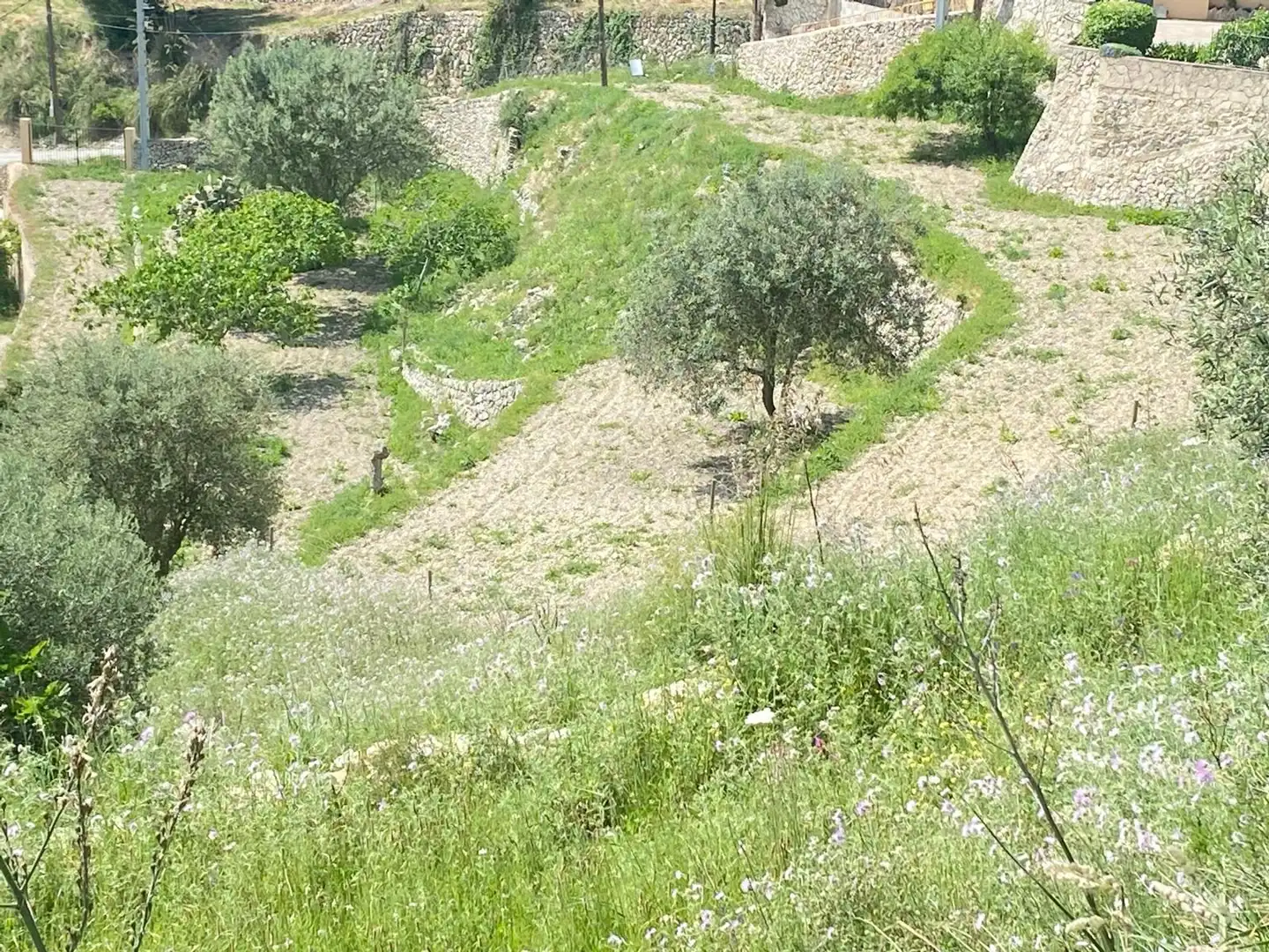 Wohnbaugrundstück zum Verkauf in Puigpunyent, imagen 4